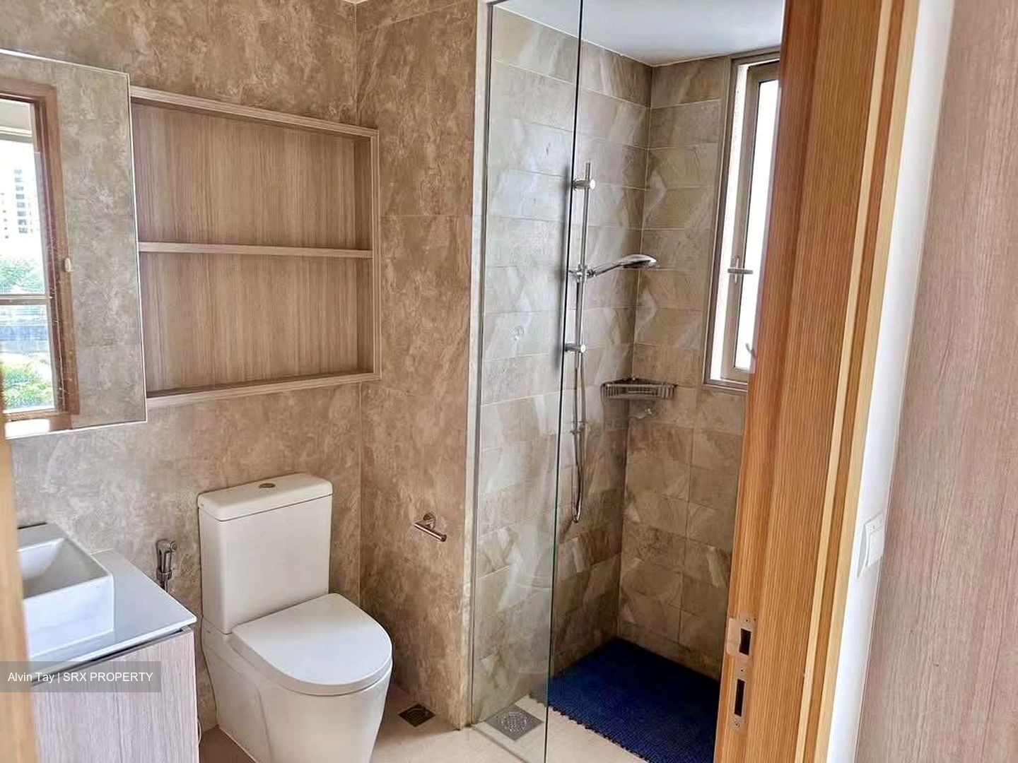 The Vales (D19), Condominium #586451331